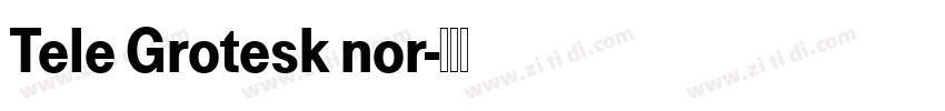 Tele Grotesk nor字体转换